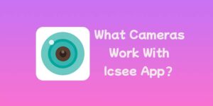 What Cameras Work With Icsee App
