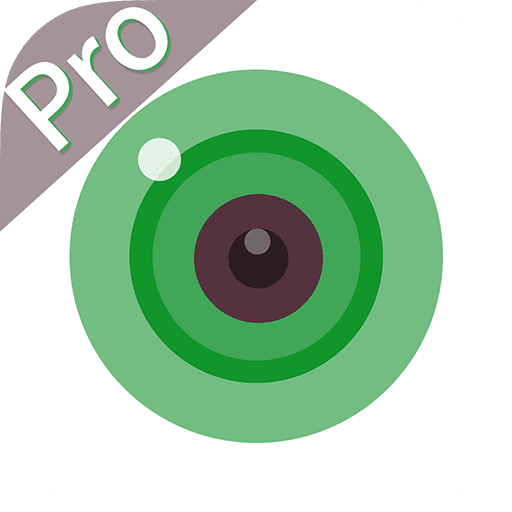 icsee pro security camera manufacturer
