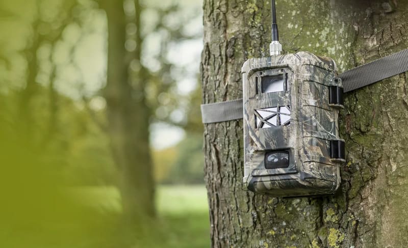 Animal_tracking_4G Trail Cameras