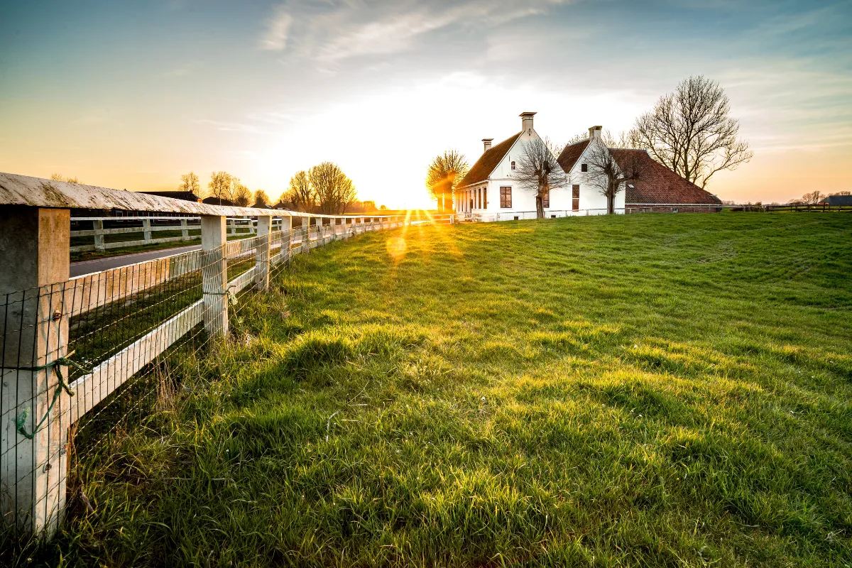 Farms & Ranches
